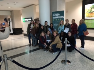 Medical Assisting Students Attend the Body Worlds Exhibit